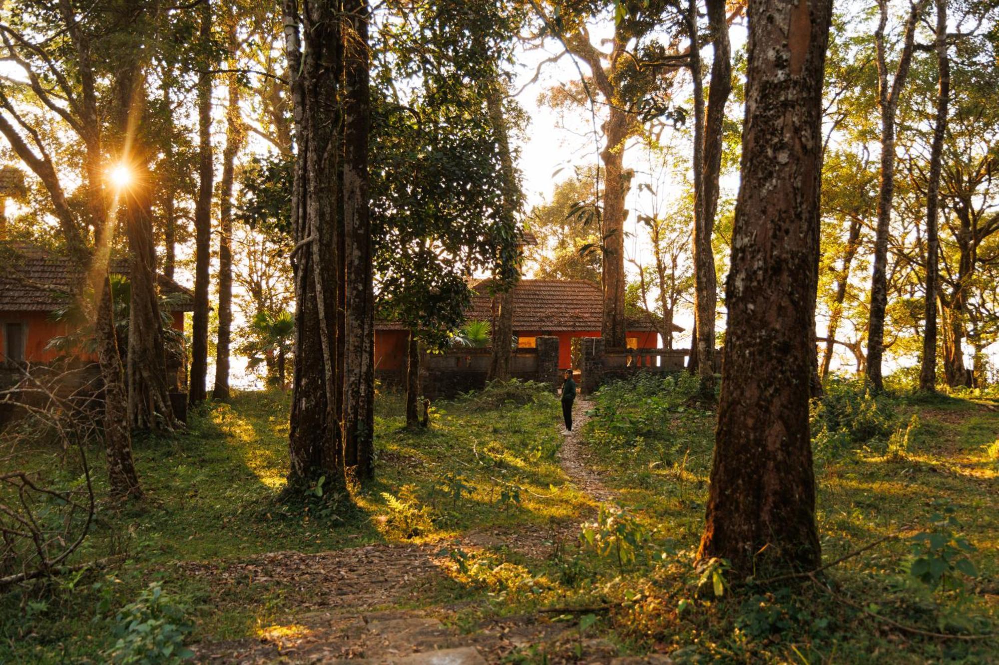 Jungle Park Resort By Greenescapes ไวทีรี ภายนอก รูปภาพ