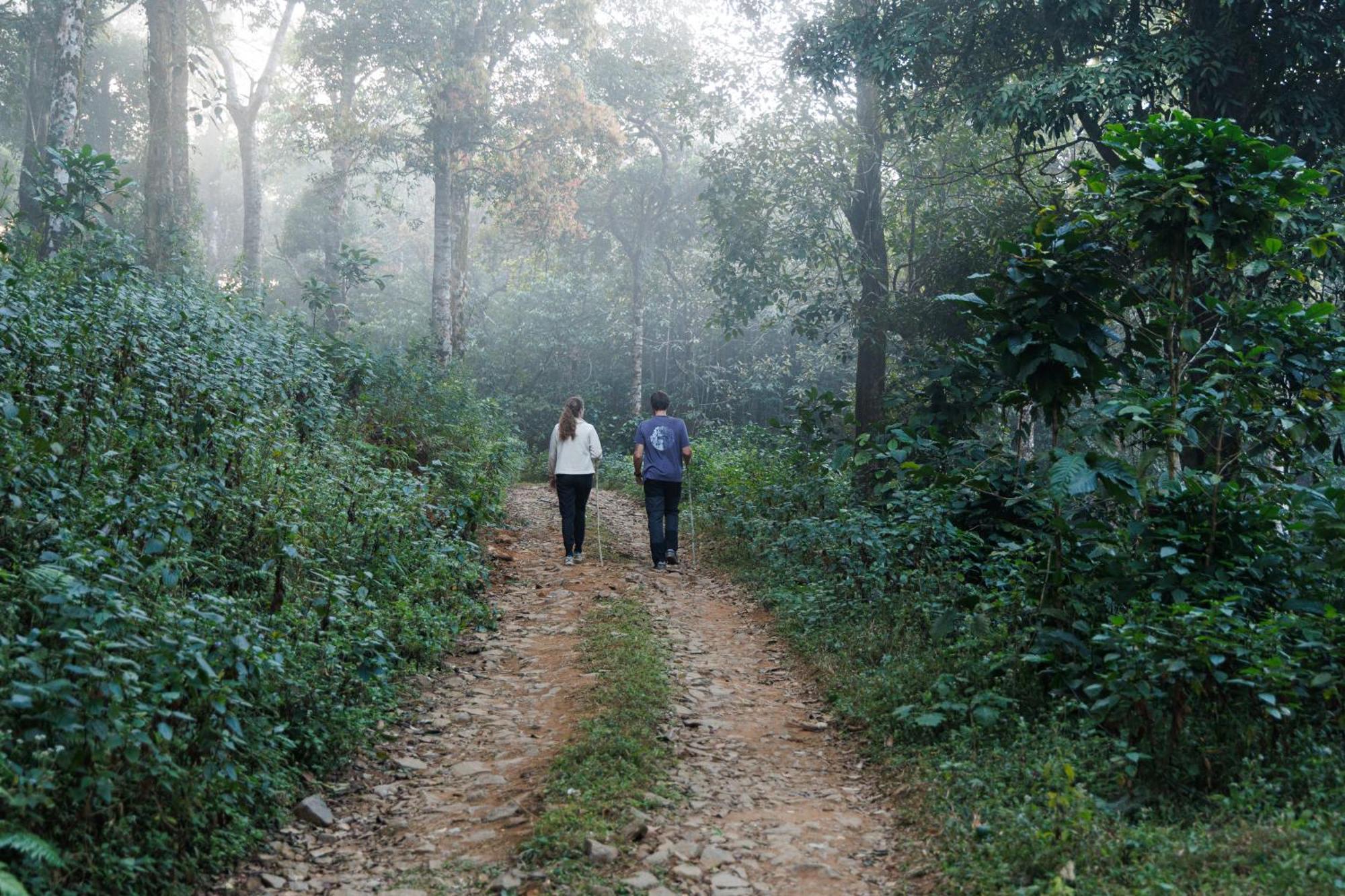 Jungle Park Resort By Greenescapes ไวทีรี ภายนอก รูปภาพ