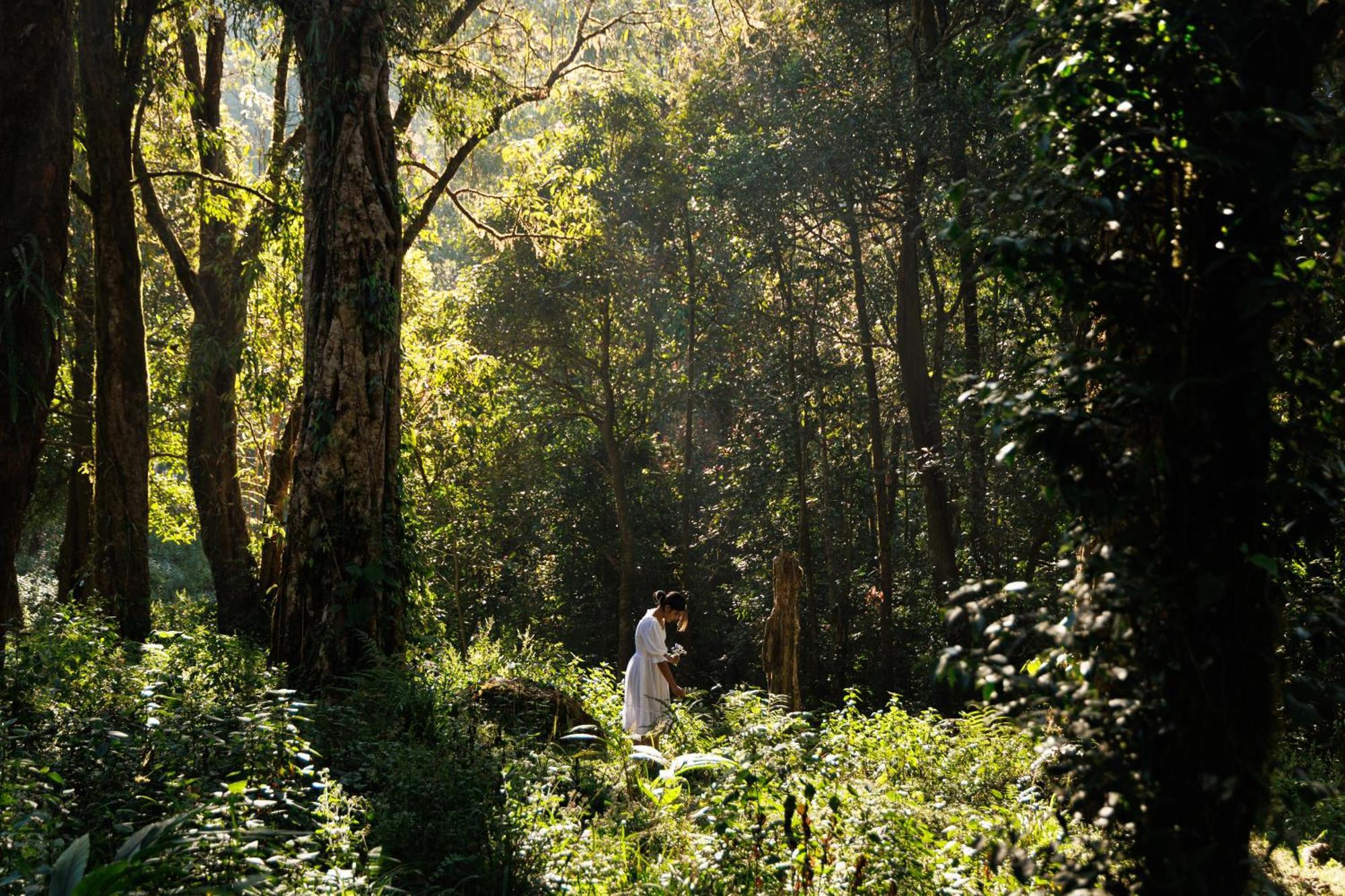 Jungle Park Resort By Greenescapes ไวทีรี ภายนอก รูปภาพ