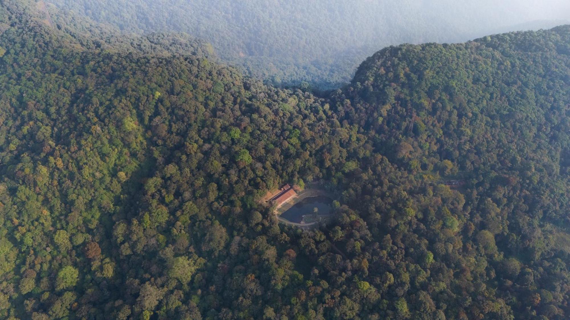 Jungle Park Resort By Greenescapes ไวทีรี ภายนอก รูปภาพ
